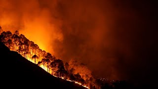 What Made Wildfires Rage In 2021?