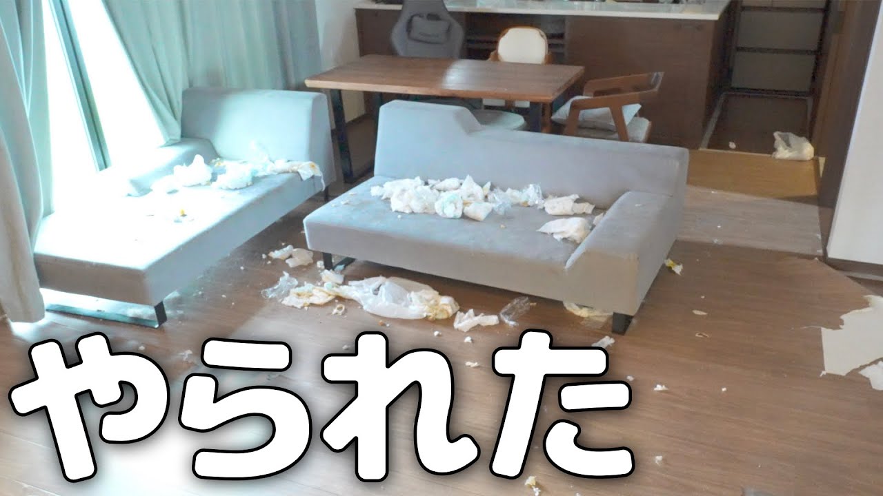 買い物から帰ったら家が荒らされていました。