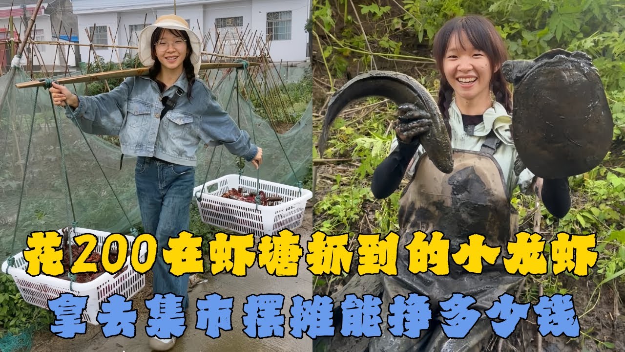 幺妹花200元在虾塘抓到20多斤小龙虾，拿去集市摆摊到底能挣多少钱？#户外抓鱼 #户外捕鱼 #幺妹vlog #乡村生活 #农村生活