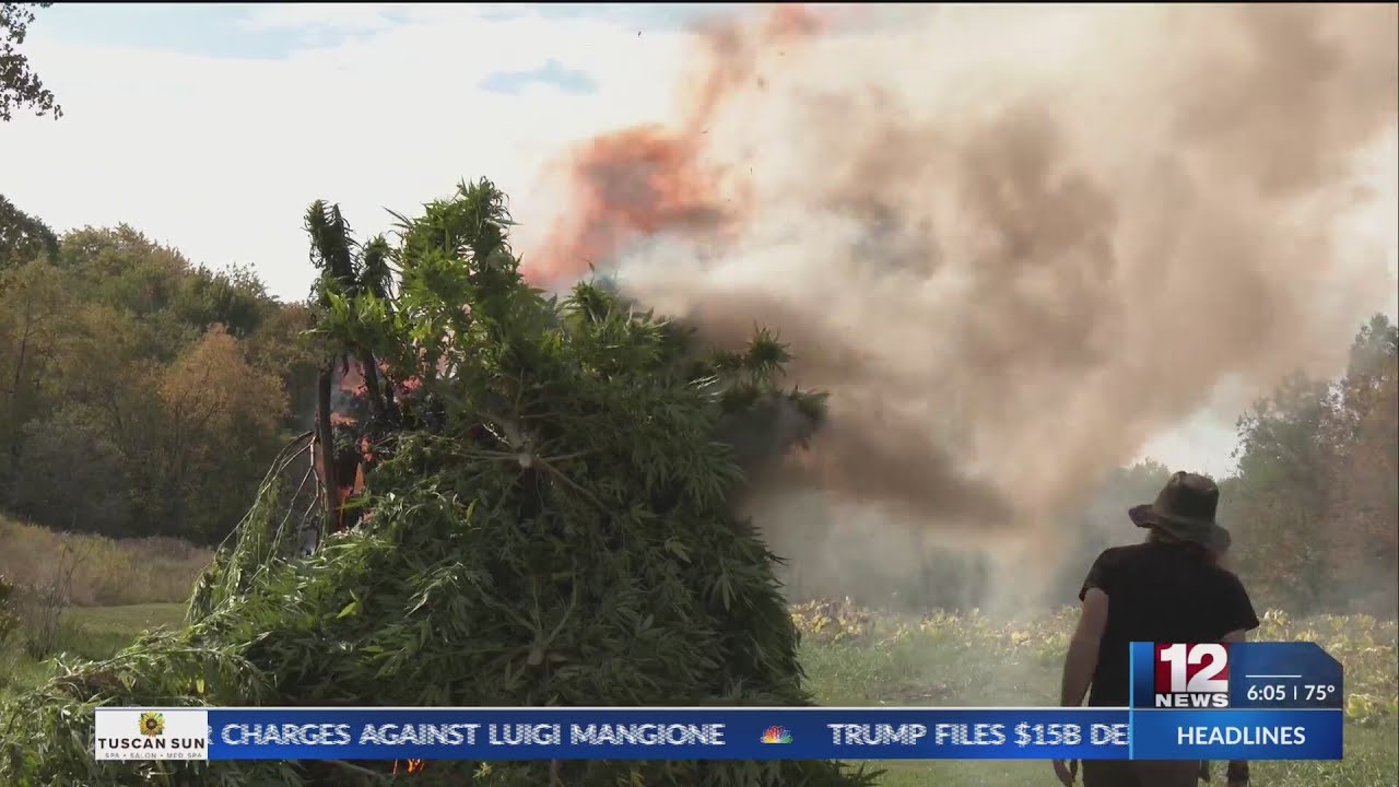 West Virginia's hemp industry bogged down by regulations, farmers say