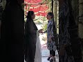 namak Haram bts #namakharam #bts #imranashraf #sarakhan #salmazafar #aniqa #director #humtvdramas