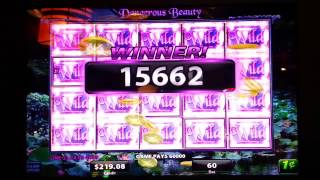 Free dangerous beauty slot machine Free dangerous beauty slot machine
