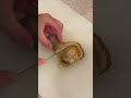 tomikkunet funny video😂😂😂|Tiktok Japanese food!! #shorts #TikTok