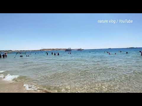 Viva beach Sharm El Sheikh