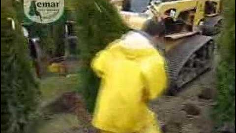 Lemar Tree Spades Potter Field Video