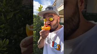 ASMR AMERICA'S ORIGINAL DUBBLE BUBBLE GUM (3 FRUIT FLAVORS) AND EATING...part3
