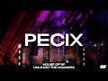 PECIX @ OPEN AIR FESTIVAL ROBLOX 2024