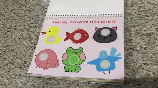 Toddler Busy Book, Preschool Busy Book, Busy Binder, Learning Binder, Quiet Book, Preschooler