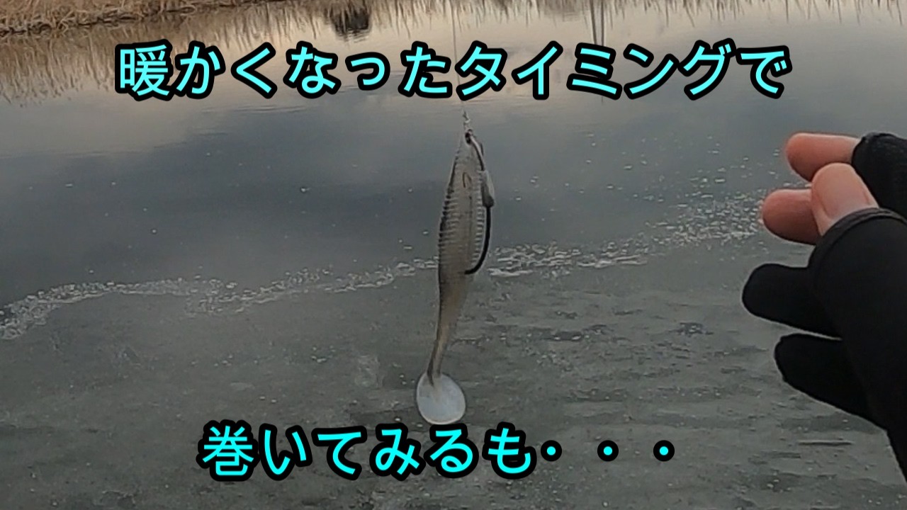 【バス釣り】2026初バスへの道3