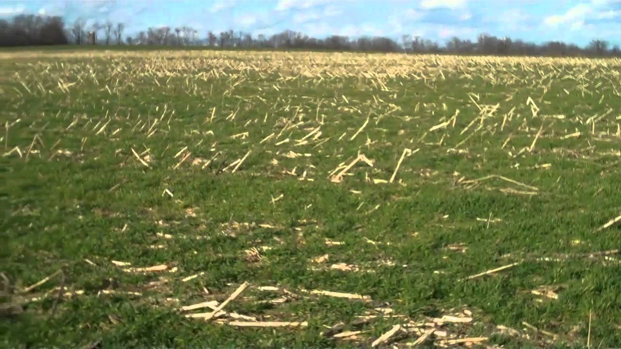 Farm Land for Sale Shelby County Shelbyville KY YouTube