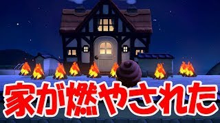 【あつ森】たぬきちに〇〇をしたら・・・【あつまれどうぶつの森】
