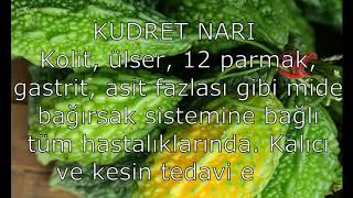 Download DİvertİkÜl Nedİr Video MP3 DİvertİkÜl Nedİr