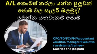 Accounting & Finance Salaries in Sri Lanka 2024: Complete Guide
