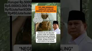 MBG Minimalis Harga Rp5.000 an #beritaterkini #new #viralvideo #mbg