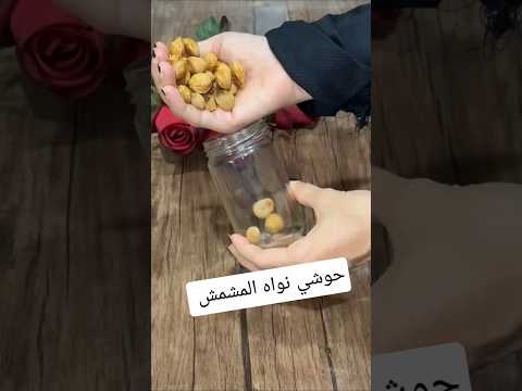 حوشي نواه المشمش ووفري مصاريف العيد افكار منزلية اكسبلور وصفات سهلة