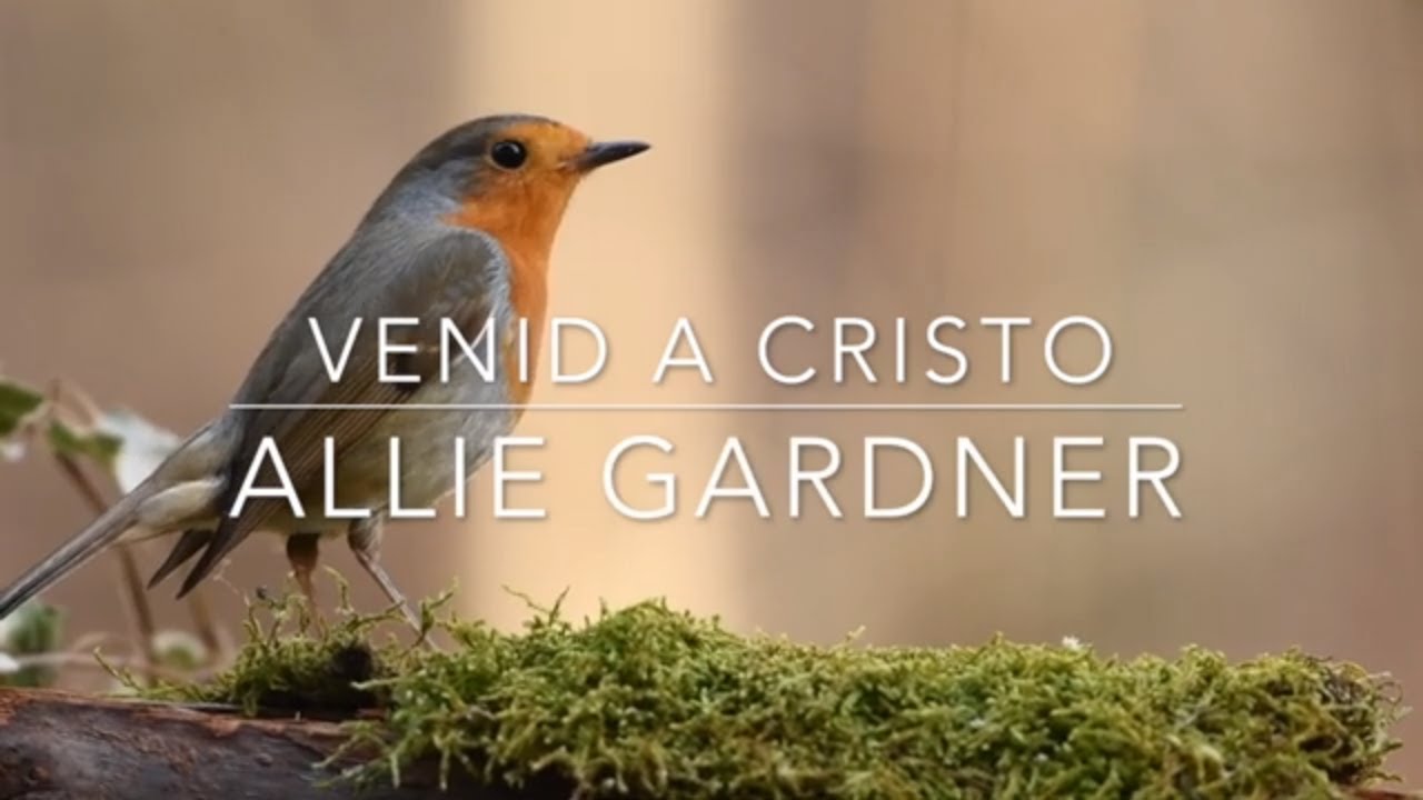 Venid A Cristo | Allie Gardner | Alfredo Alcocer