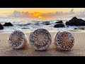 Virtual Beachcombing Festival: Beachcombing Finds from Hawaii - Heather Ganis