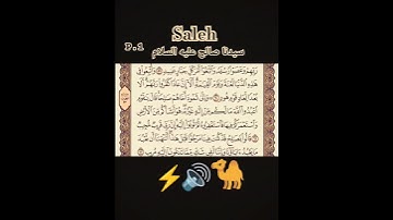 احمد العجمى سورة هود آية ٦١ #القرآن_الكريم#quran 🐪
