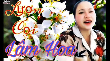 Hát lượn cọi cao bằng, tr bày: Lâm Hoa, nàng hát lượn cọi đa tài,(Nông Châu tổng hợp)