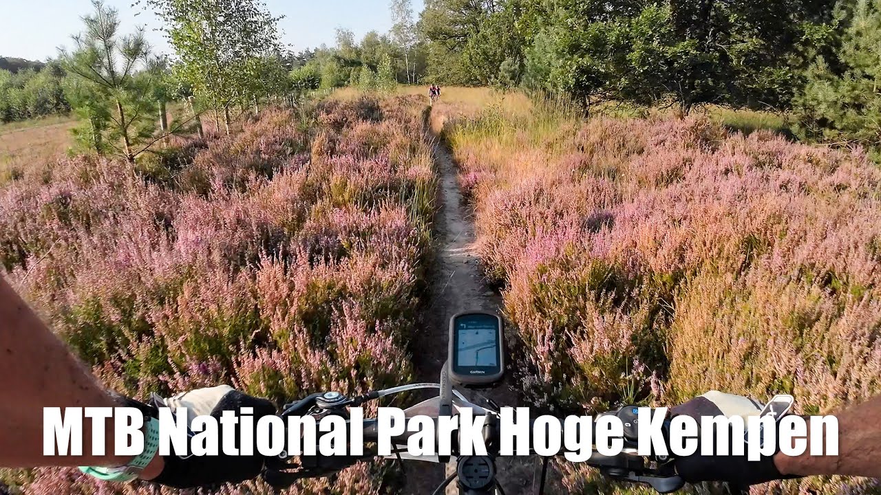 MTB Loop National Park Hoge Kempen *