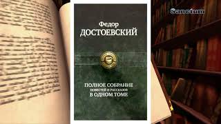 Обзор на рассказ Ф.М. Достоевского 