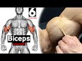 How To Build Your Biceps Fast (6 Effective Exercises)-تمارين البايسبس