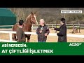 İstanbul'un Göbeğinde At Çiftliği / AGRO TV