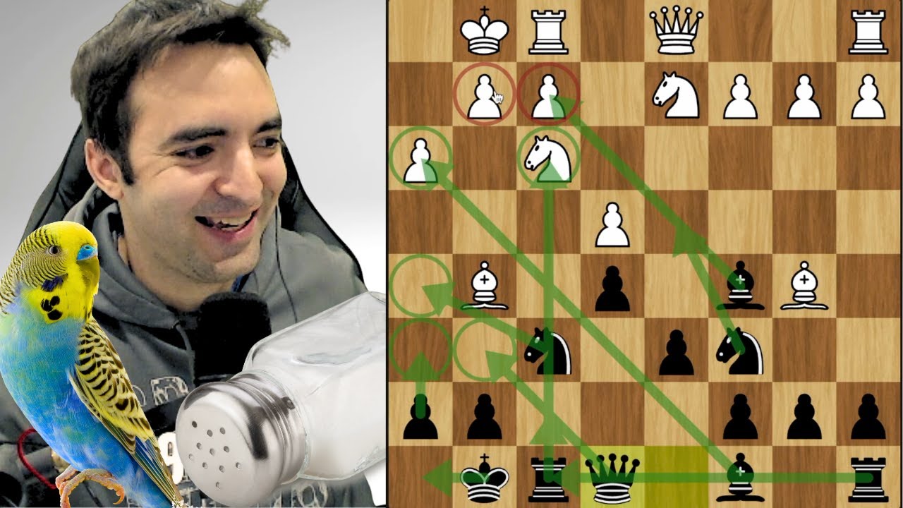 Instructive Rapid Chess | A Different Opening Every Game - YouTube
