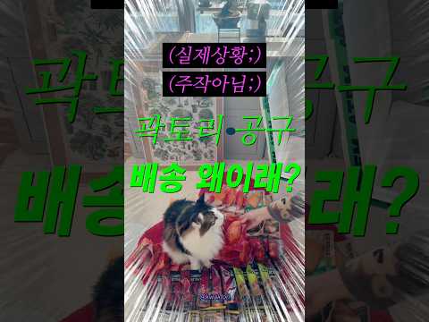 곽토리 공구 배송 왜이래..?