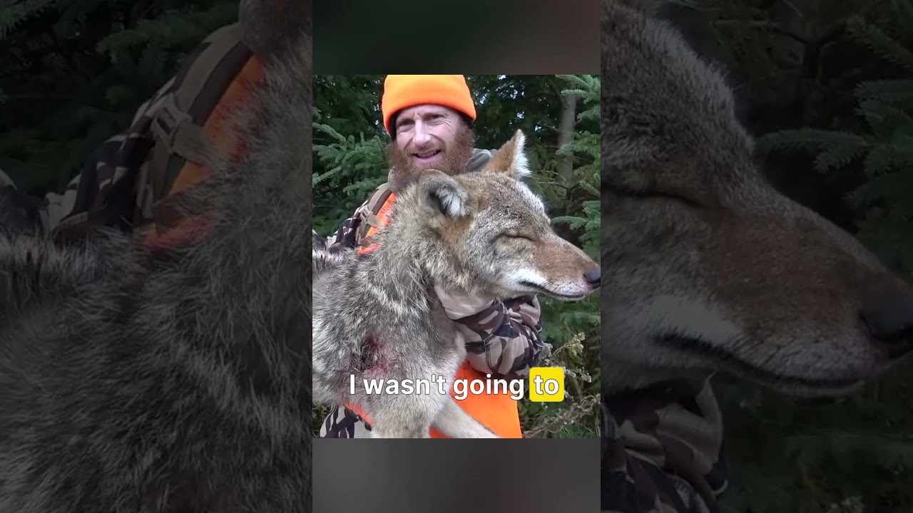 Hear me out - MEAT IS MEAT! (watch me prove it!)