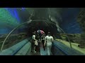 Russia - St Petersburg - Aquarium/Okeanarium 02 (VR180)