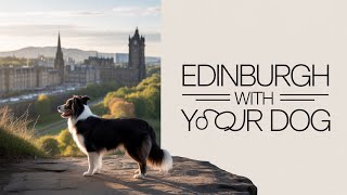 Edinburgh: The Most Dog-Friendly City!