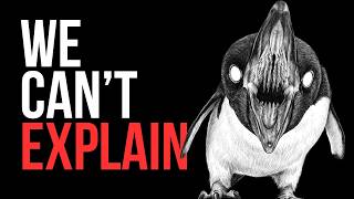 The Terrifying Truth About Penguins You Didn't know