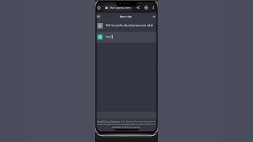 ChatGPT and his... "Jokes"  #chatgpt #funny #jokes