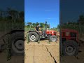 Lavori nel vigneto con l'estirpatore