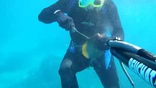 Spearfishing Japan GoPro hero2