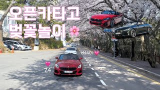 BMW 오픈카타고 해운대 벚꽃명소 가보자고 ~~~🌸