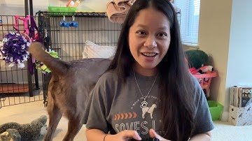 Sleepypod Sport vs Terrain