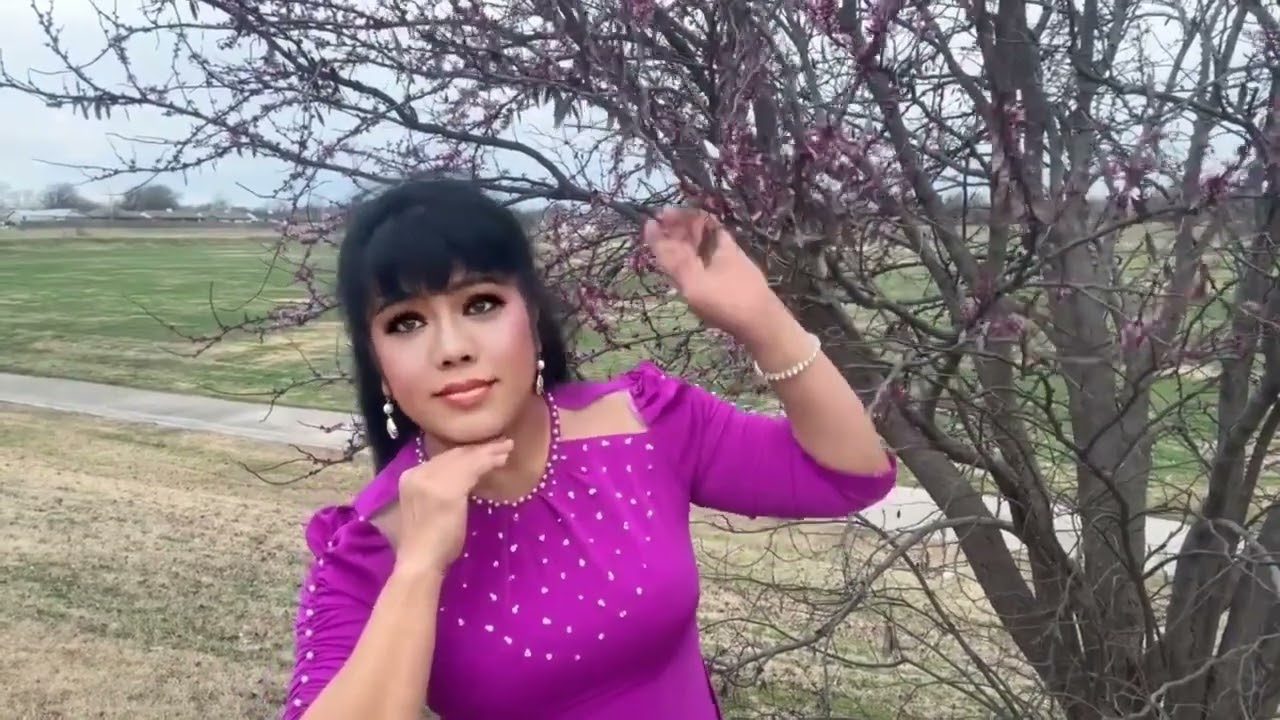 Chuyện Người Con Gái Hái Sim  Sáng Tác : Hồng Vân, thơ Hữu Loan  |Angelina Nguyễn Cover |#haisim