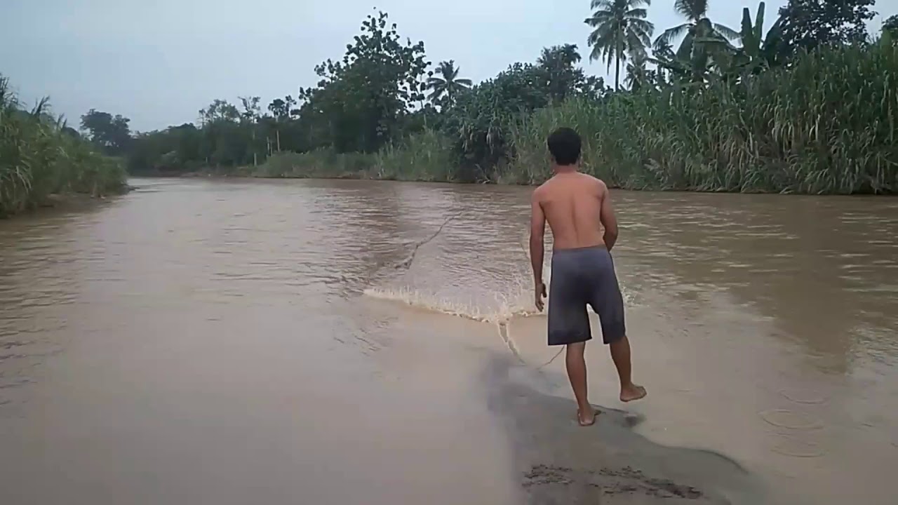 TekNik menJaLa ikan yang benar' - YouTube