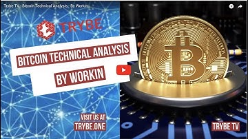 Trybe TV - Continuation of the Bear Market or Bear Trap?