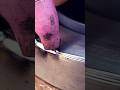Amazing TIG Welding Skill !#shorts #ytshorts #viral #trending #welding