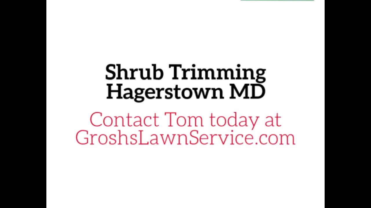 Shrub Trimming Hagerstown MD Washington County Maryland