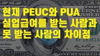 현재 PEUC와 PUA 실업급여를 받는 사람과 못 받는 사람의 차이점과 그 이유 [미국생활이야기]