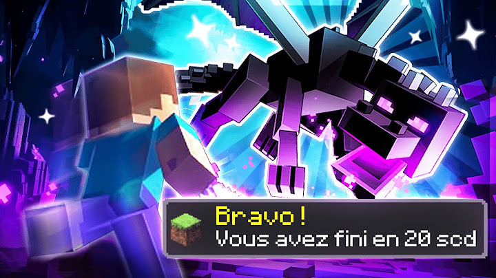 Le speedrun impossible de Minecraft.