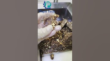 How to make the protein energy bar by automatic P170 encrusting machine?