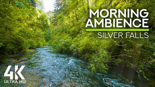 10 HOURS Morning Bird Songs and River Sounds for the Best Start of the Day - Morning River 4K UHD screenshot 2