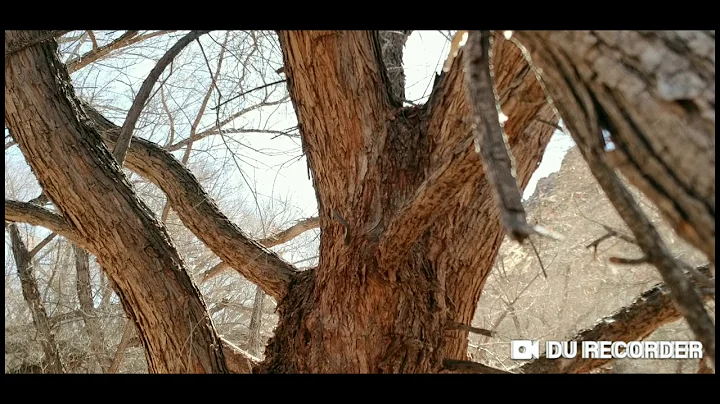 Smith & Wesson Hawkeye Throwing Axes