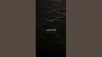 Сура Аль-Хашр Аяты 19-20 #quran #قرآن سوره الحشر ايتي 19-20 #قرآن #قران_كريم #قران_كريم_راحه_نفسيه