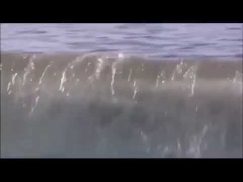 Arrested development clip - loose seal
